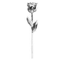Elegant Silver Rose Gift Pack - Image 2